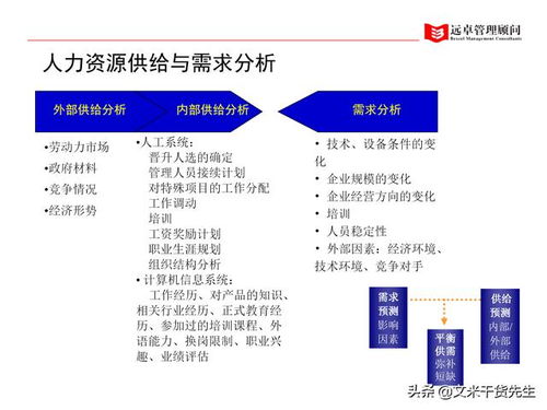 知名咨询公司客户案例 100页人力资源管理的全面提升,系统完整