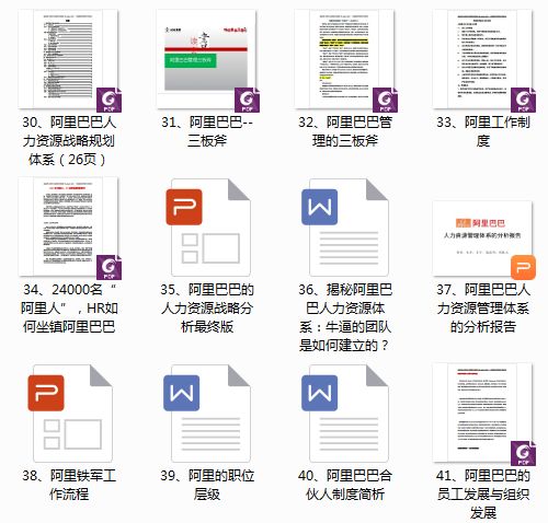 阿里巴巴全套人力资源管理资料 含绩效 薪酬 企业文化 培训 组织结构