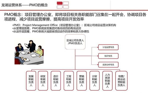 高效 龙湖 pmo 项目管理部 体系研究