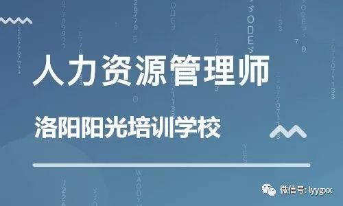 2018年11月高级人力资源管理师 专业技能 真题及解析